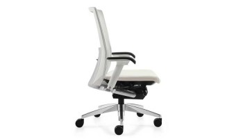 Task & Ergonomic Seating