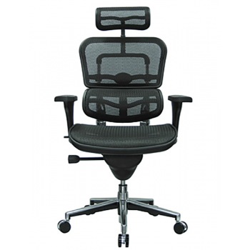 Eurotech Ergohuman ME7ERG Task Chair